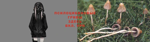 герыч Горняк