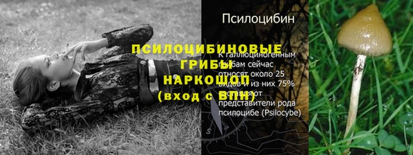 герыч Горняк