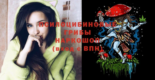 герыч Горняк