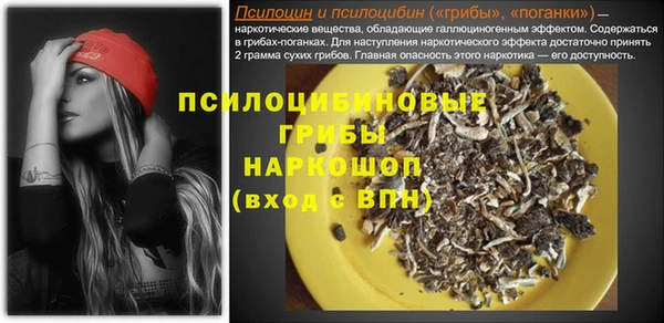 герыч Горняк