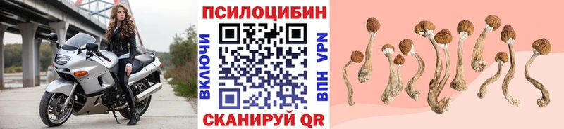 Галлюциногенные грибы ЛСД  Купить где  Миллерово 